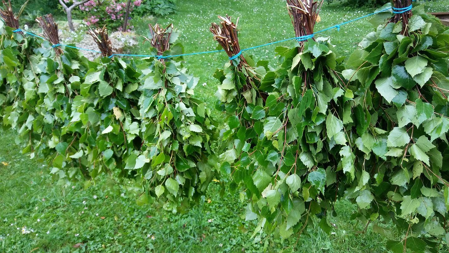 Baltā pirts - Pirts iedarbība... Pirts mikroklimats iedarbojas uz ...