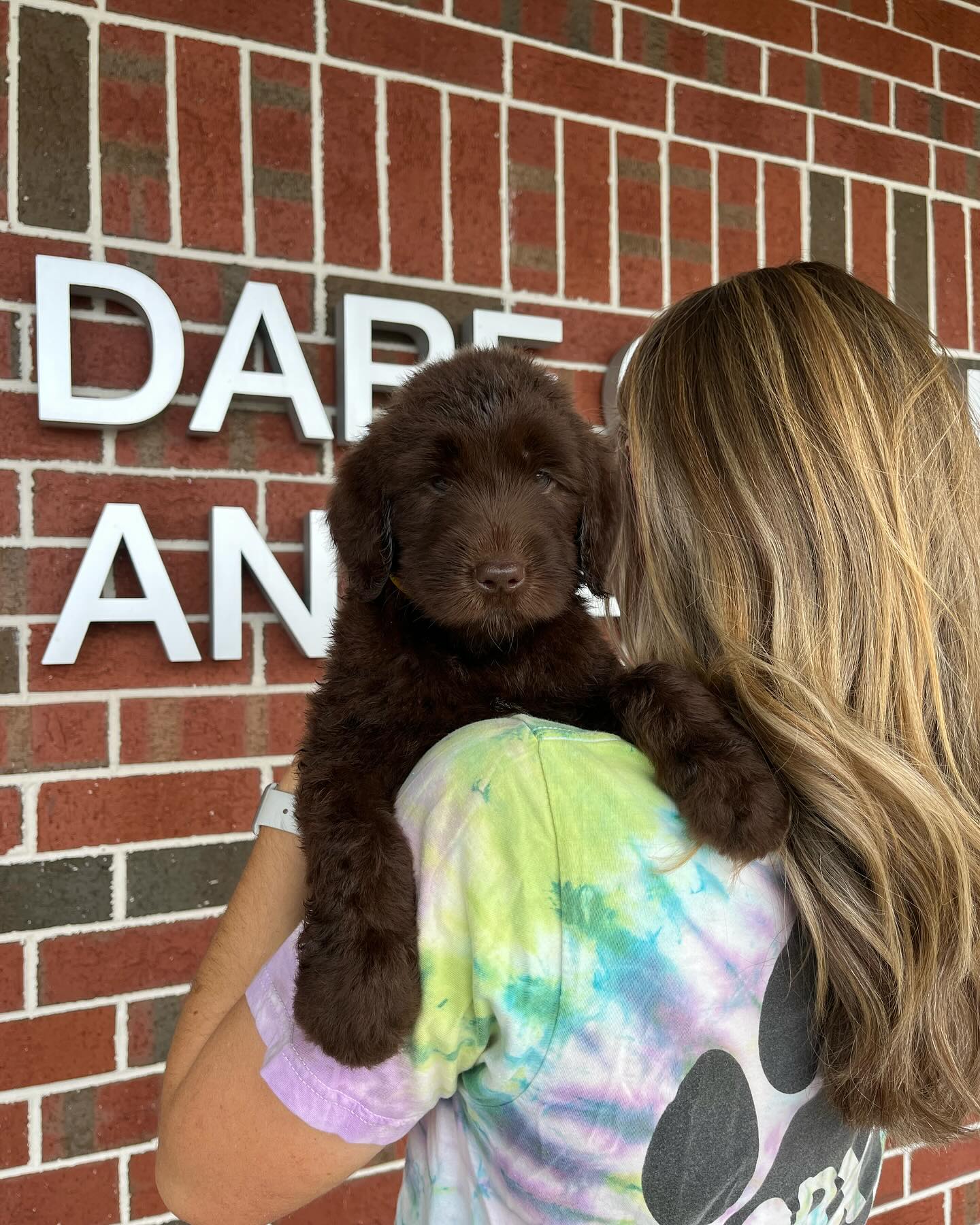 ALL ADOPTED 👏🏼 Did anyone order 11... - Outer Banks SPCA | Facebook