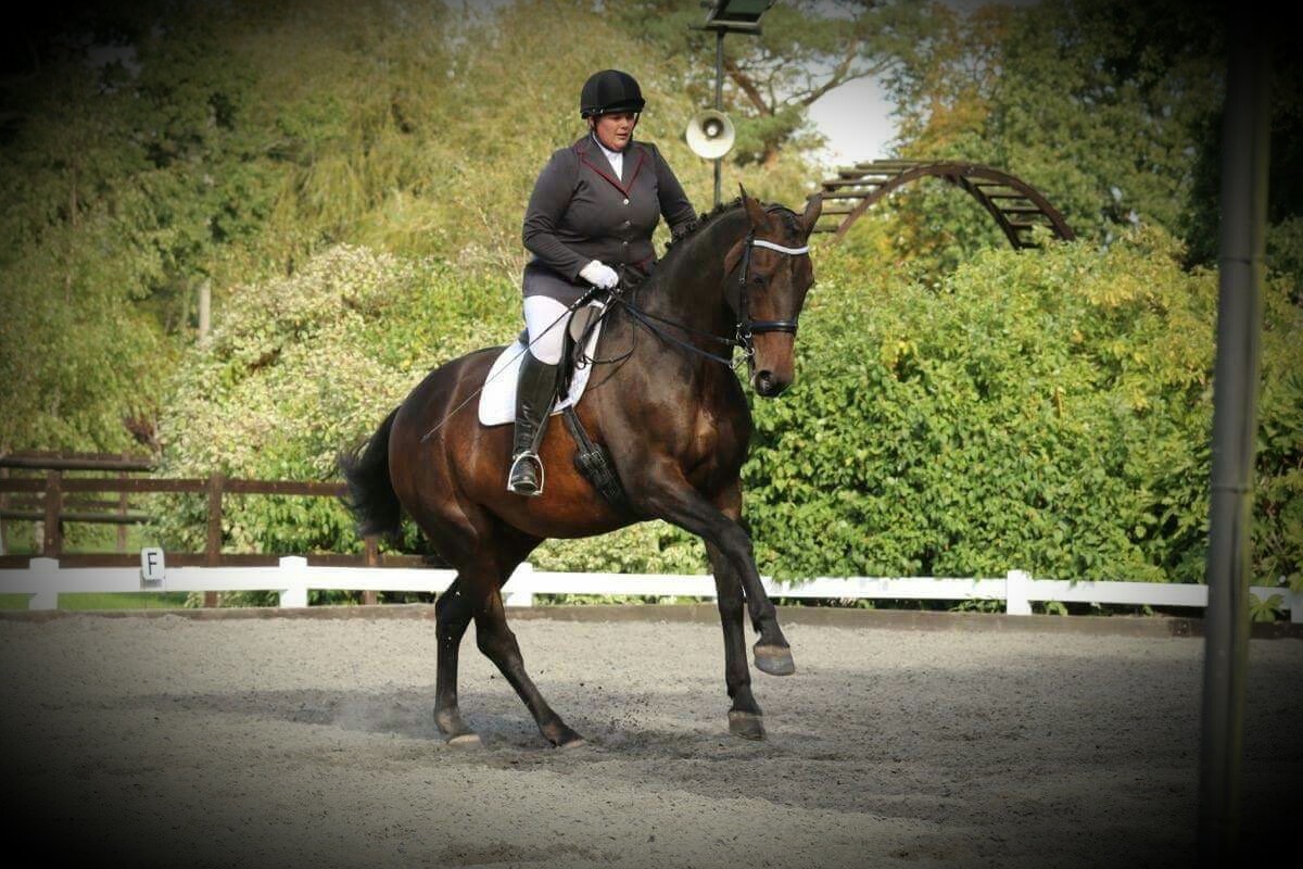 Timbertop Equestrian Centre | London
