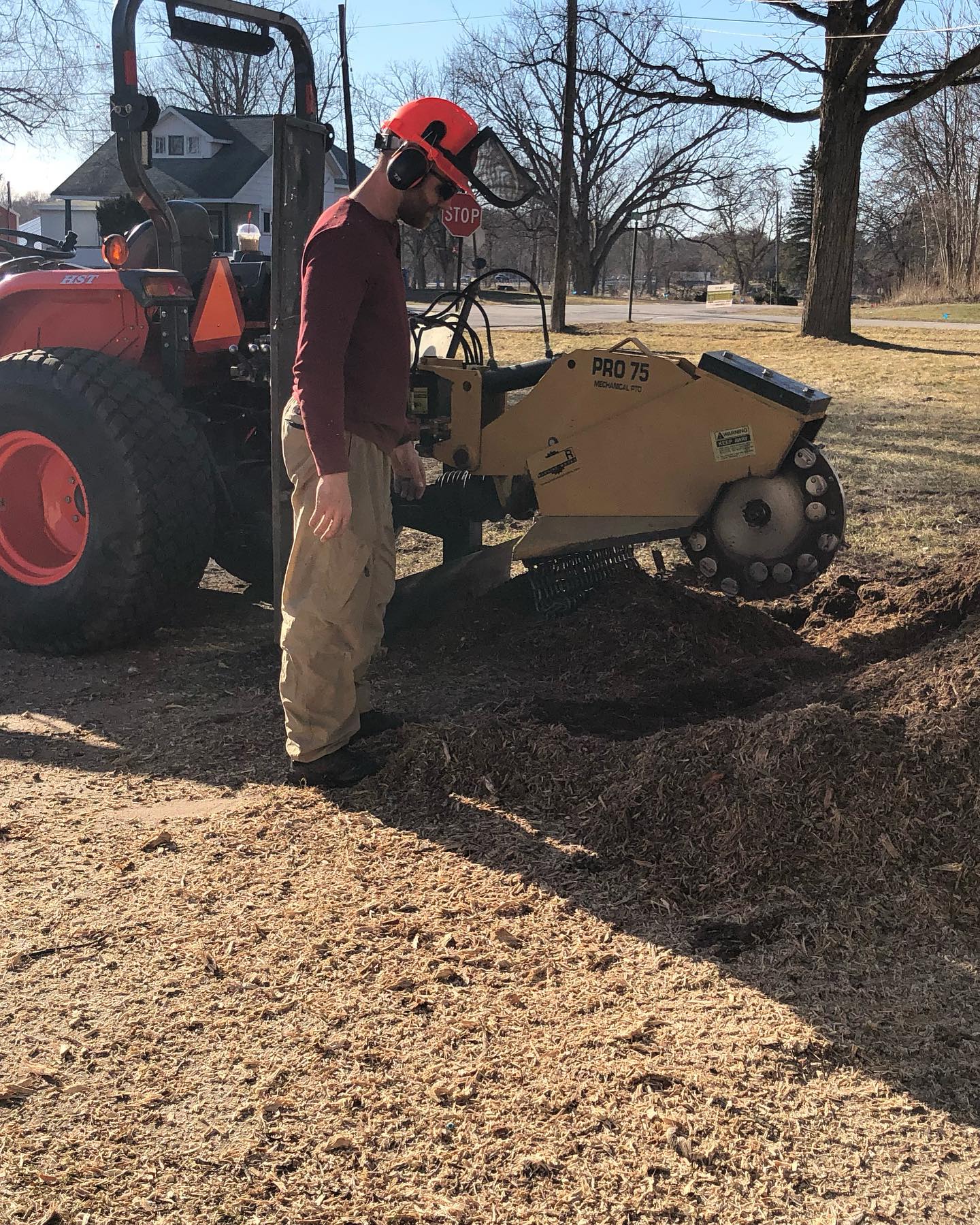 Concord Tree Service | Midland MI
