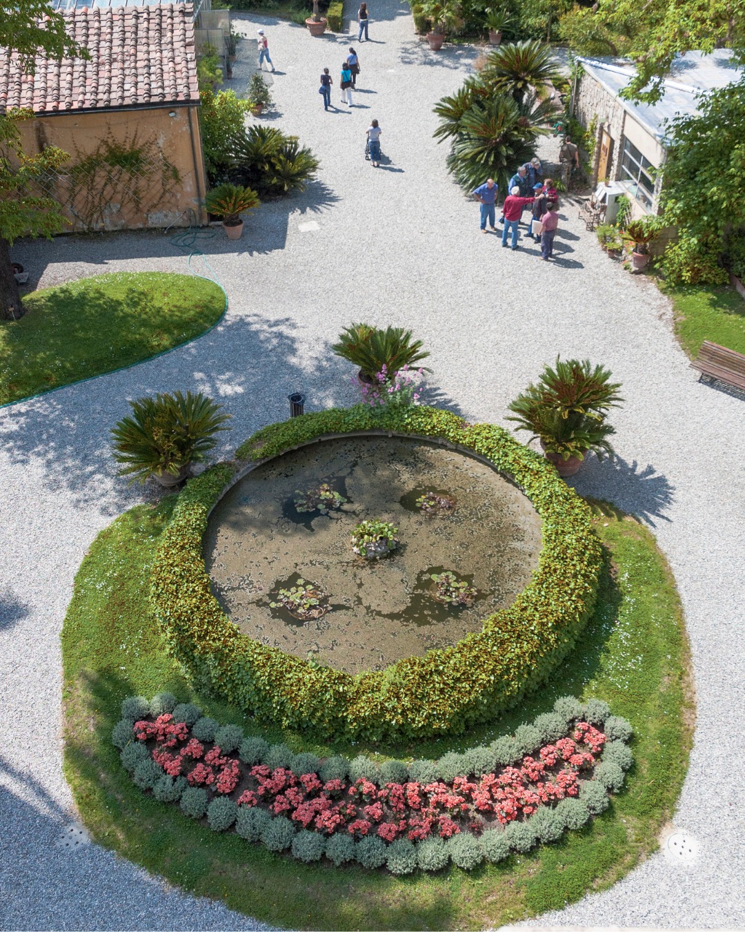 Terre di Pisa - L'Orto e Museo Botanico di Pisa / Pisa...