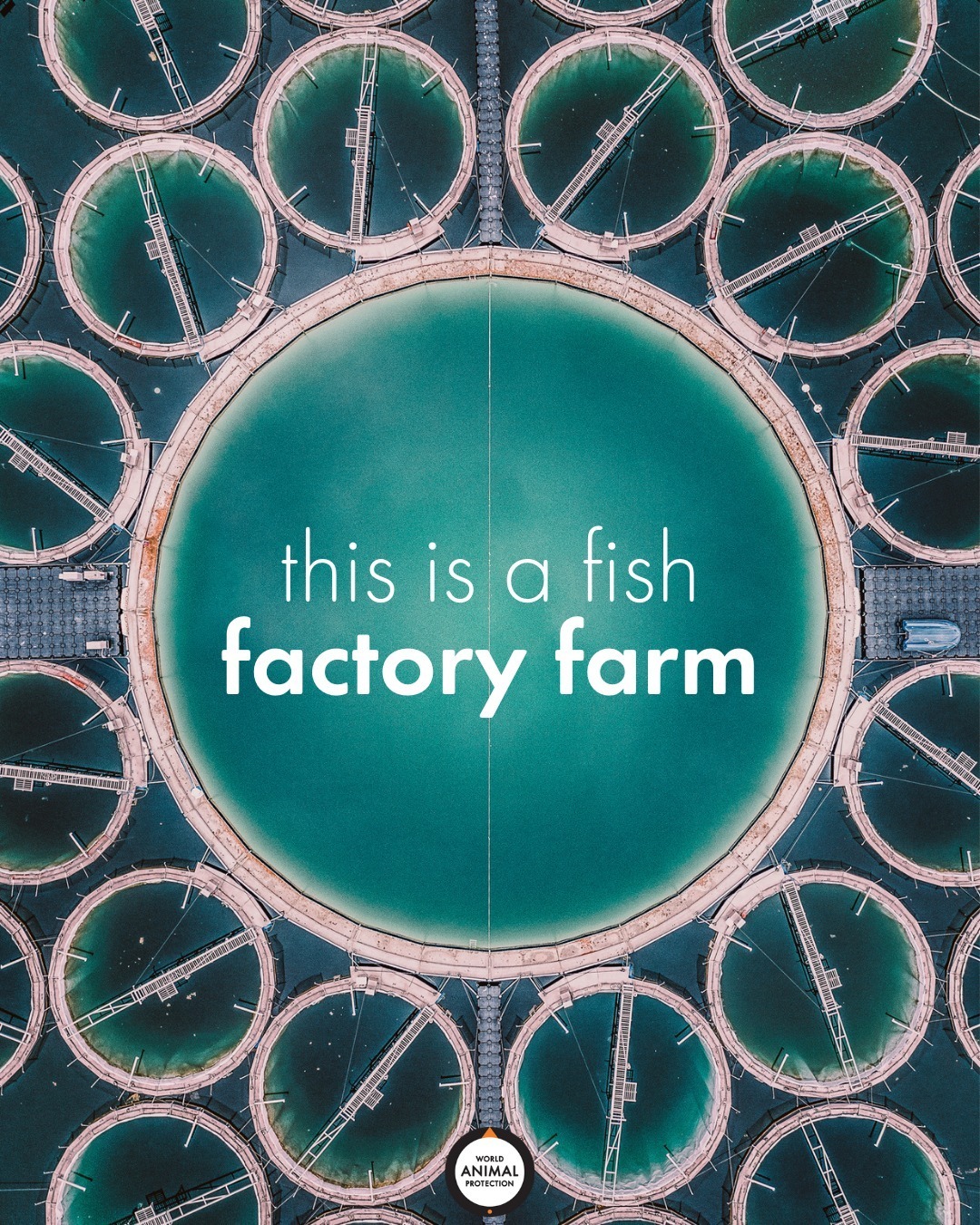 Most fish farms are... - World Animal Protection US
