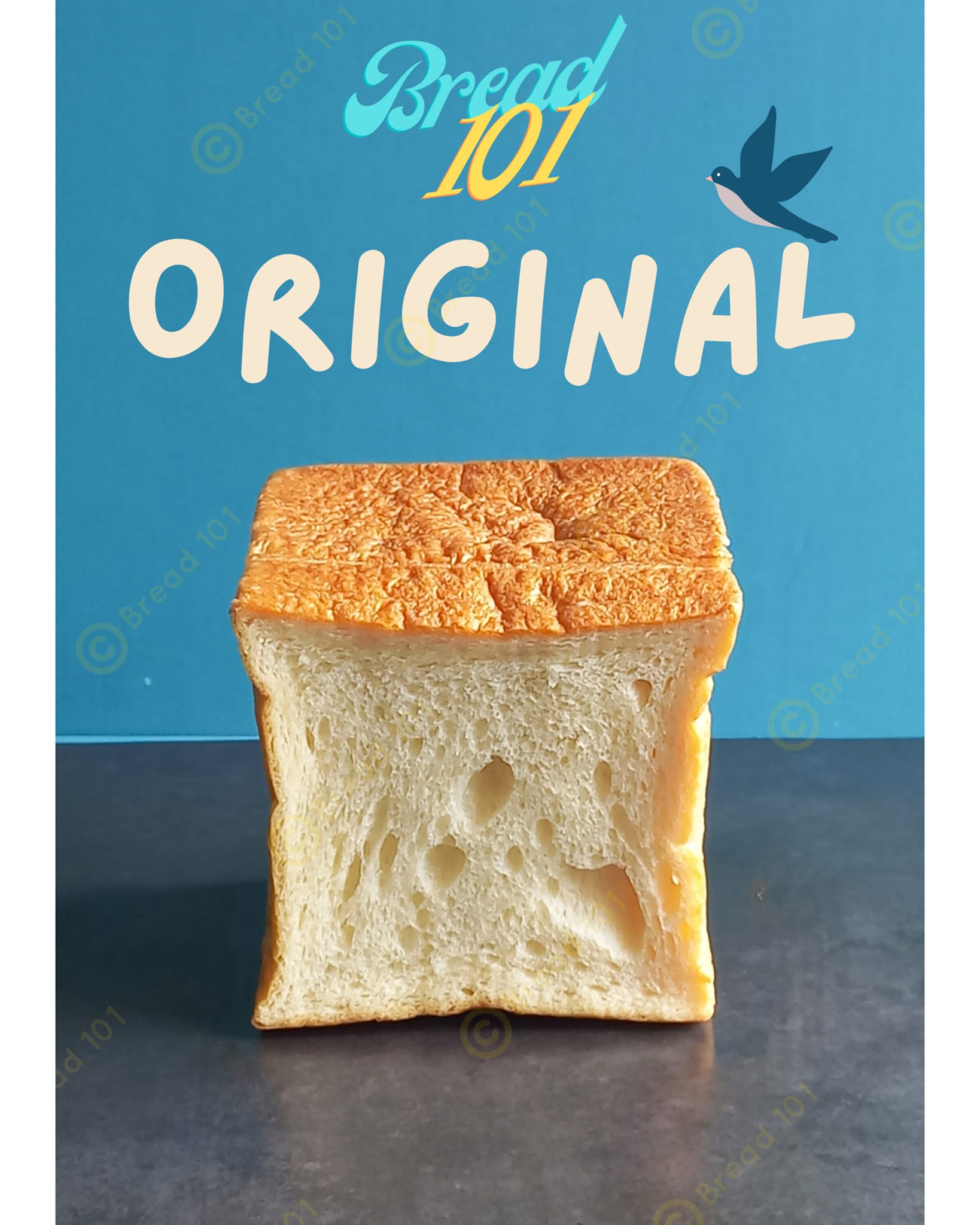 Bread 101 - ☝️ยืนหนึ่งความขนมปังธรรมดา แต่รสชาติไม่ธรรมดา...