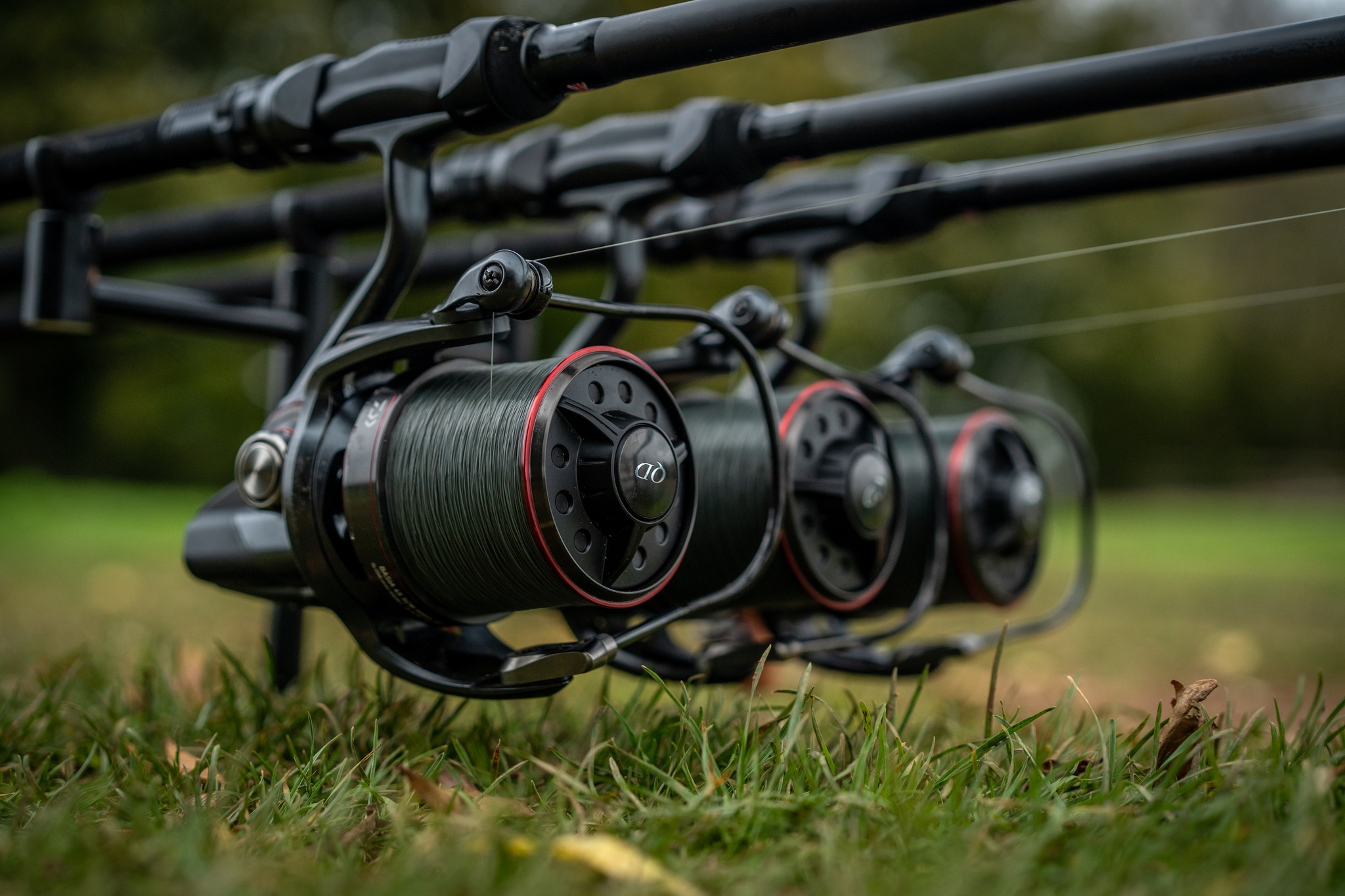 balsa wood fishing lures AC Shiners 250 Gold Black Lure Colour:BLACK WIDOW Shiners lures are hand Daiwa Whisker SS2600 Reel reck n rack