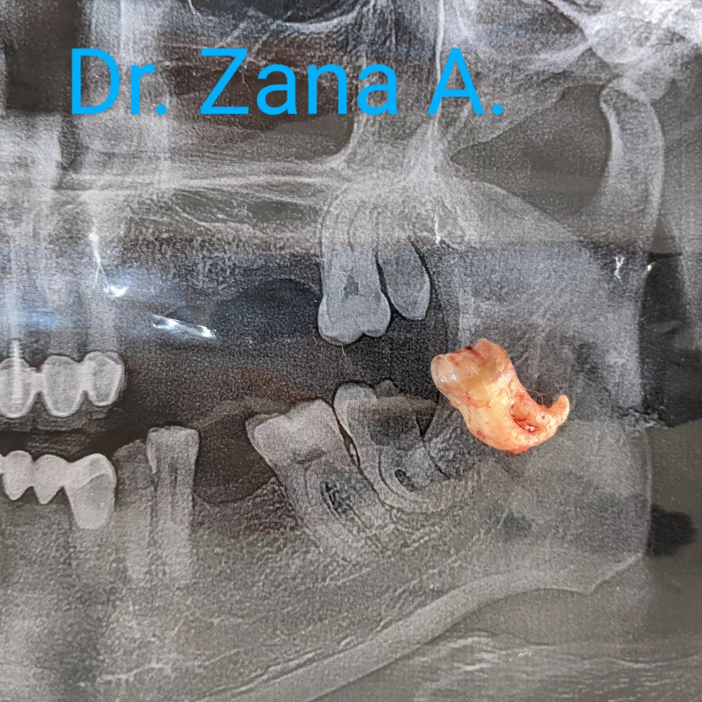 Dental clinic عيادةى دكتورى ددان