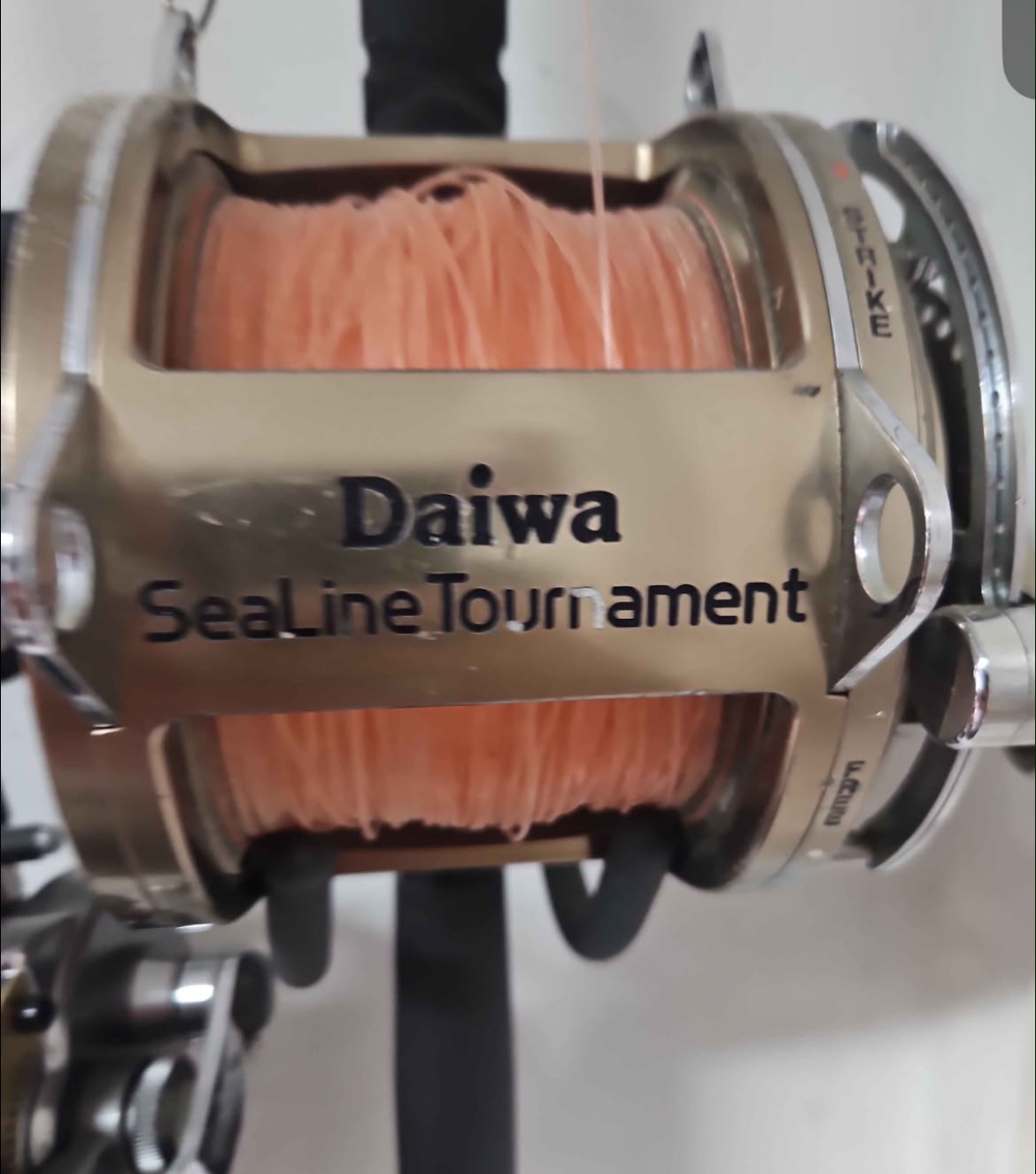 Does anyone use Daiwa SeaLine Tournament SLT80 reel for shark fishing?