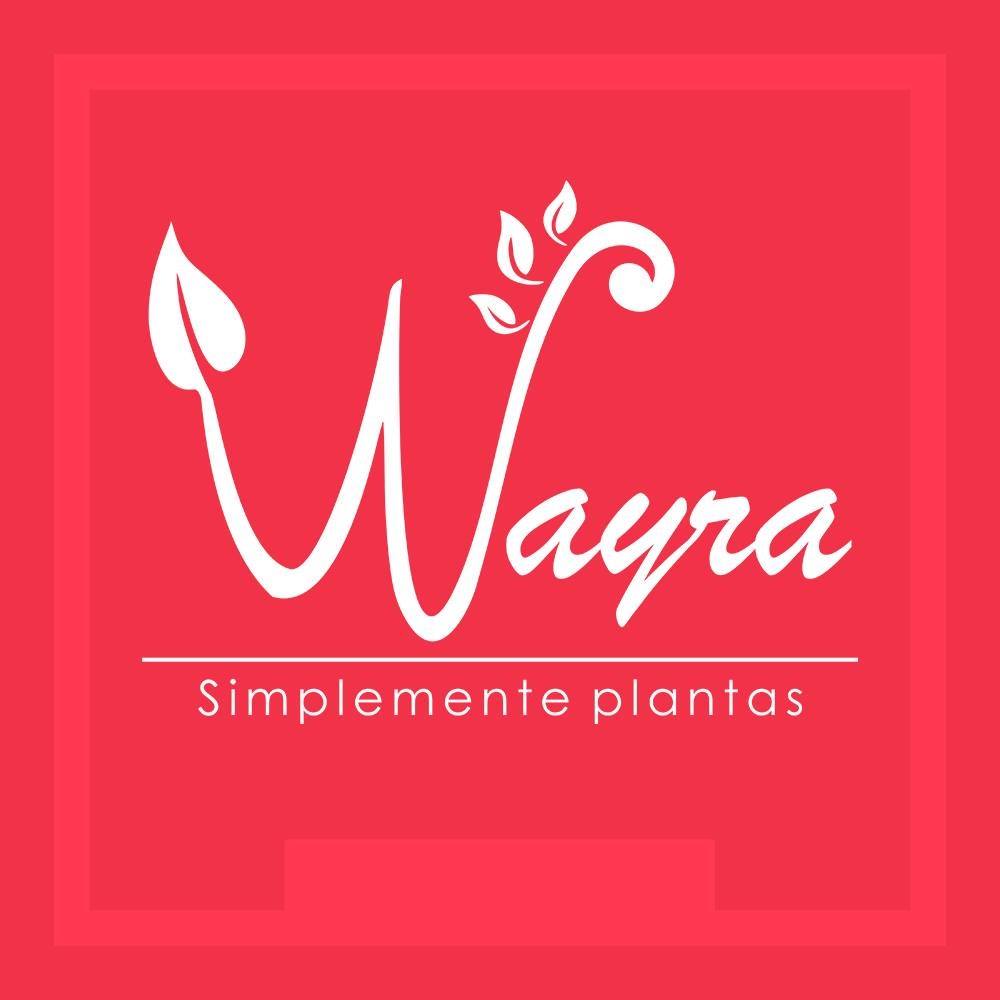 Wayra - simplemente plantas... - Wayra - simplemente plantas
