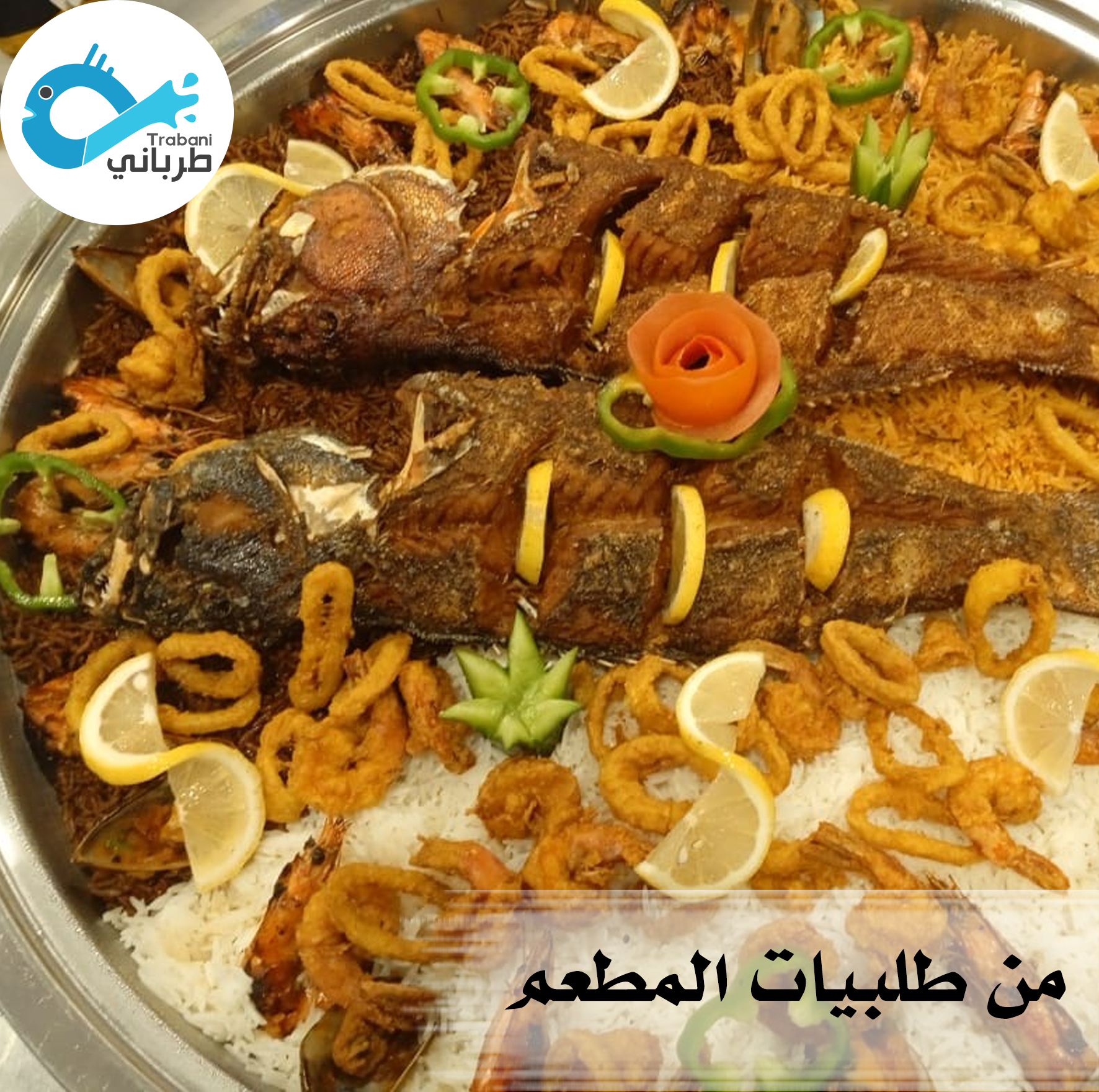 Tarabaniseafood - كوزي سمكة الناجل سعر الكيلوا 180 ريال كوزي سمكة ...