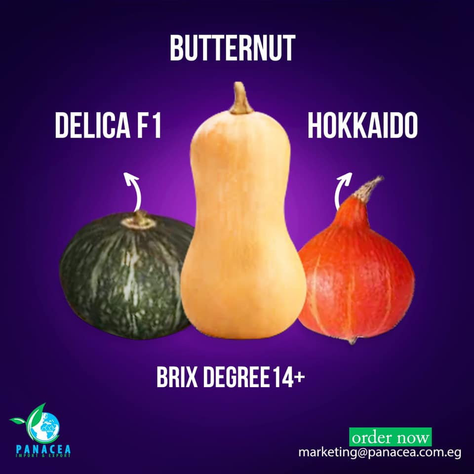 Panacea Fruits