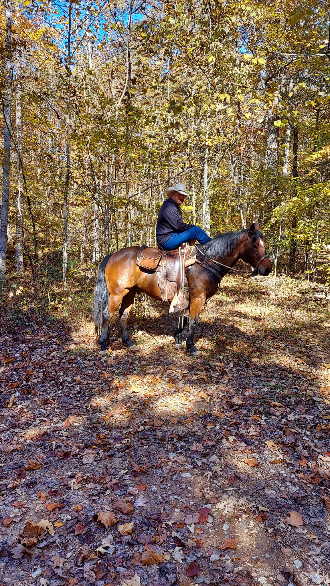 CC Acres Horseback... - CC Acres Horseback Riding Adventures