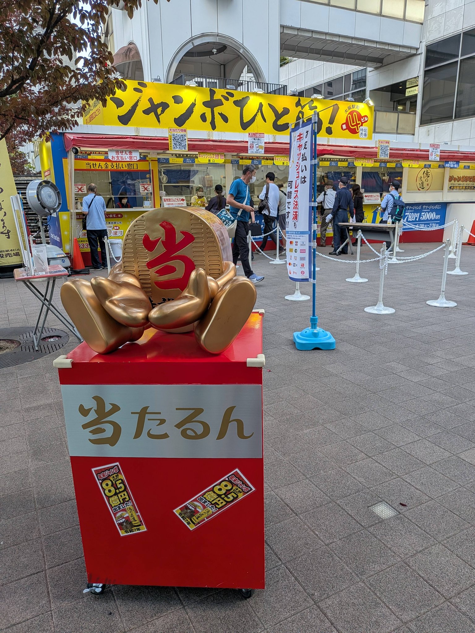 てんとう虫みたいなポピーに出会いました🐞 早速、ググってみると 名前