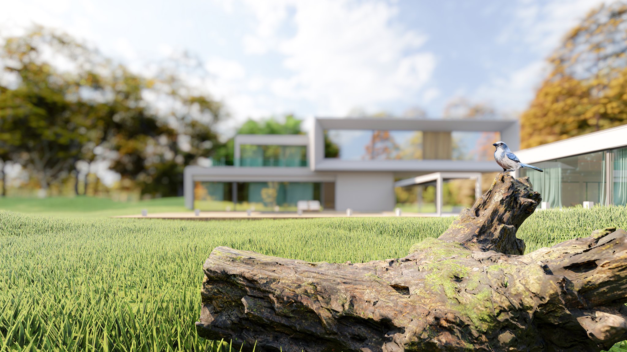 Render db studio