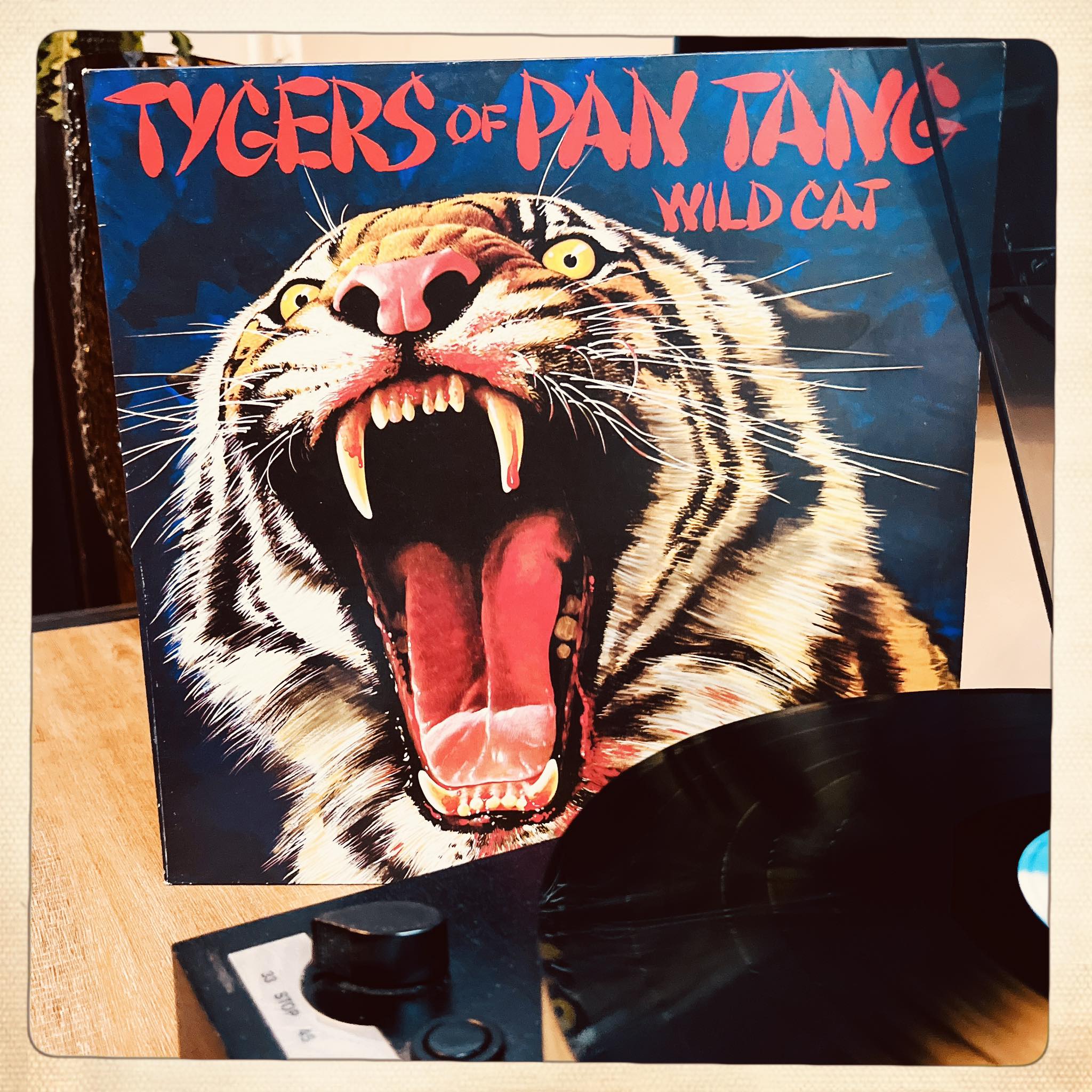 Tygers of Pan Tang 🐅 Wild Cat — Debut Studio Album 💿 Released on