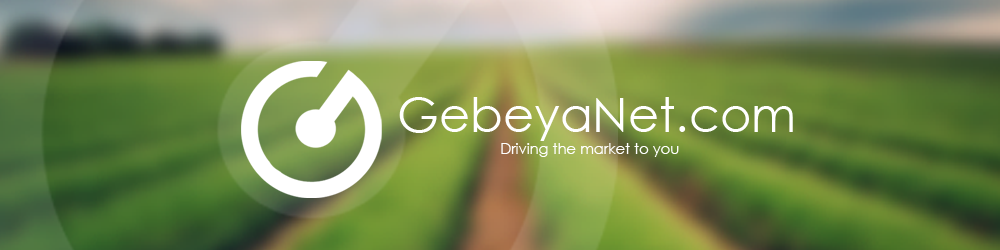 GebeyaNet Technologies