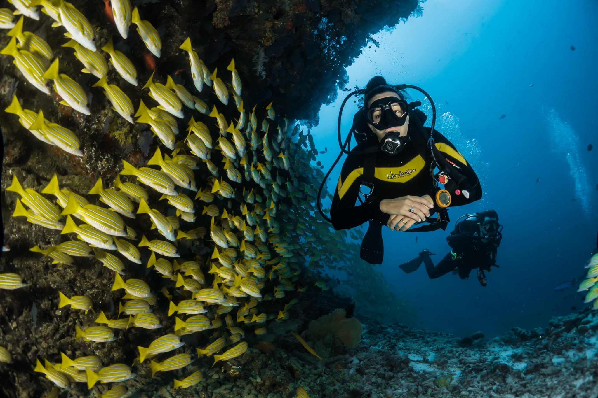 WWF SUB - 📷Vincitore del Concorso Fotografico “Mediterraneo, un Mare da ...