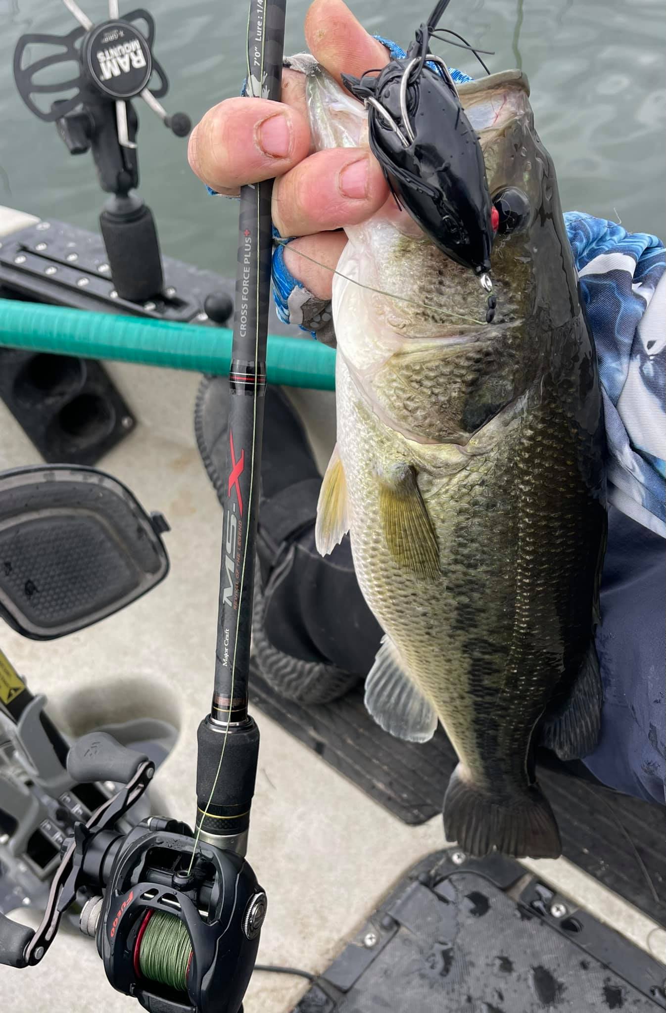 dobyns 735c frog rod Fury 7'3" Mag-Heavy Casting FR Dobyns Rods is excited to announce the new Frenzy Series Dobyns Rods Frenzy Casting Rod,