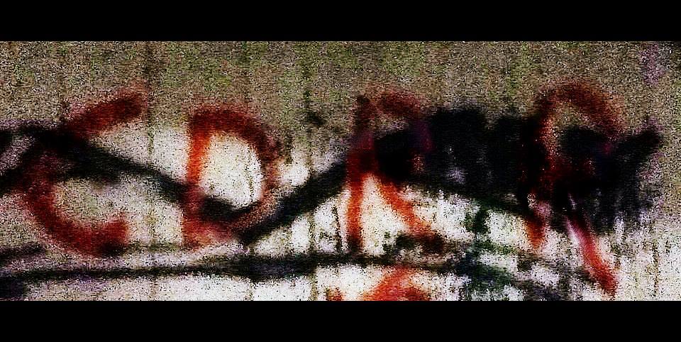 Calling Dead Red Roses