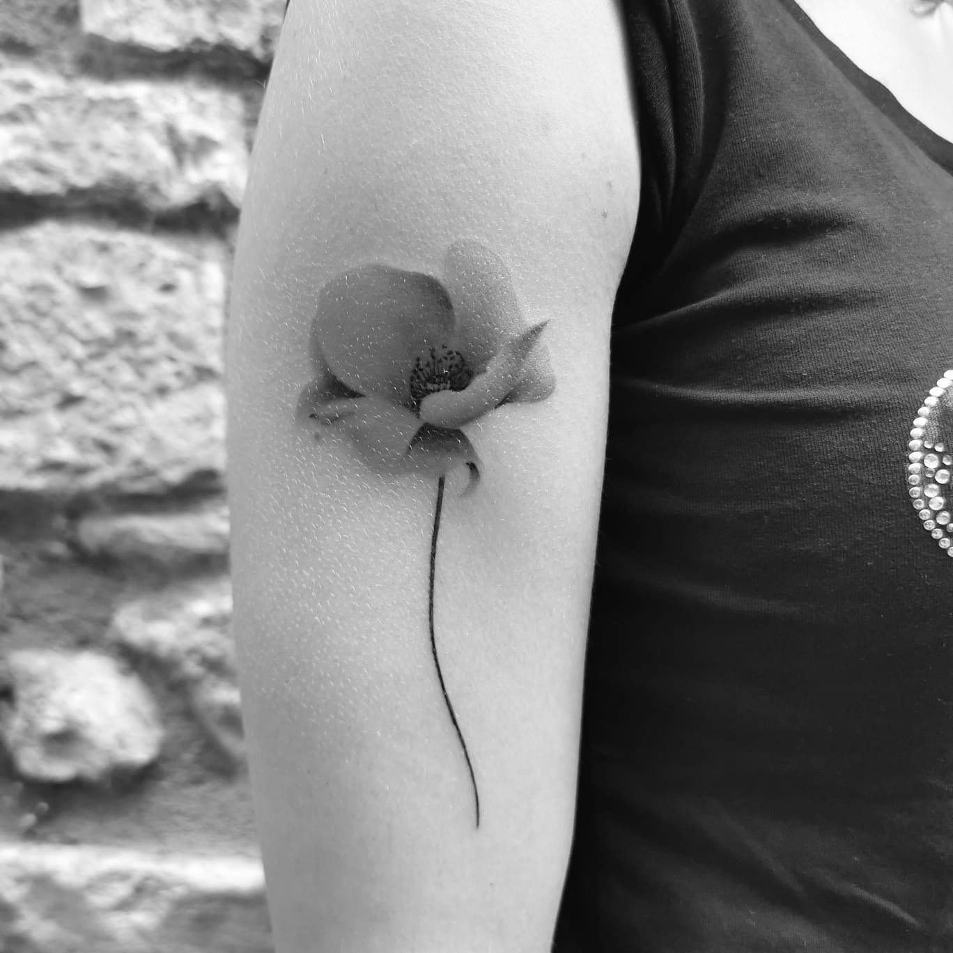 Coquelicot Tatouage Noir Et Blanc