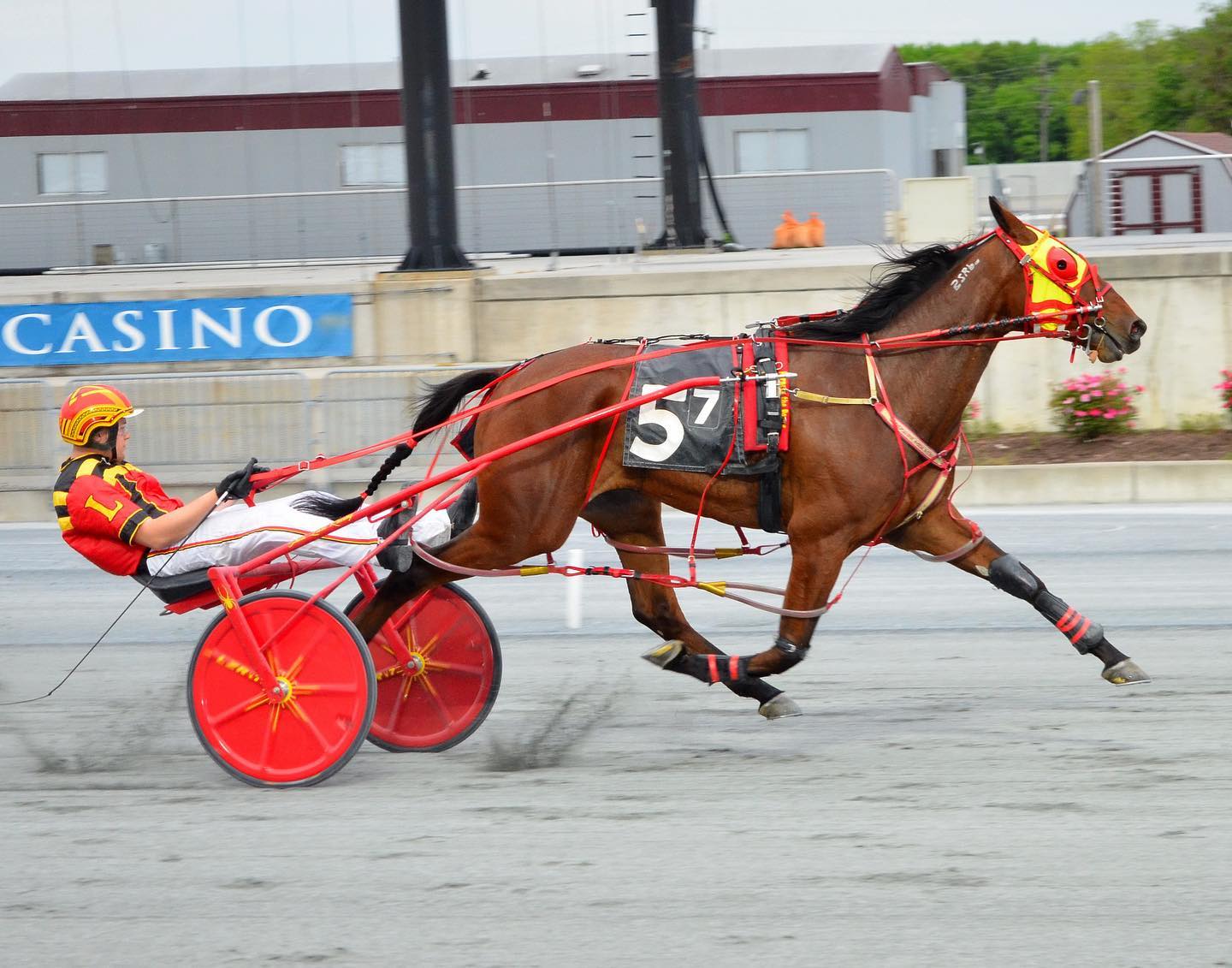 HarnessRacing.com - Congratulations to 20-year-old @shea.lare on his ...