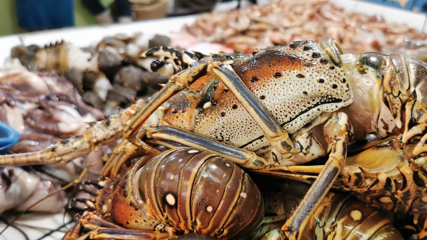El Robalo seafood | Guatemala City
