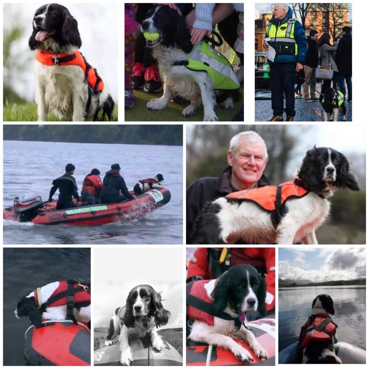 Search - 💔FERN💔 21/4/04-3/11/21 It is with a heavy heart that SARDA IN ...