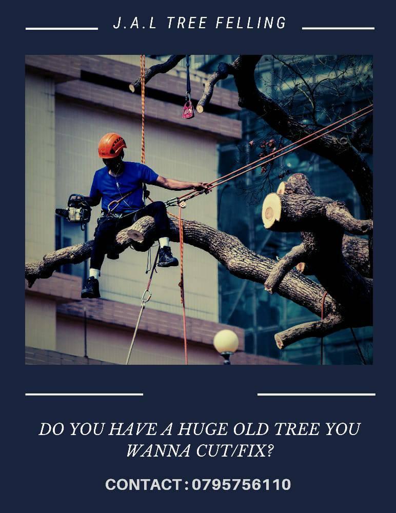 JAL TREE Felling | Soshanguve