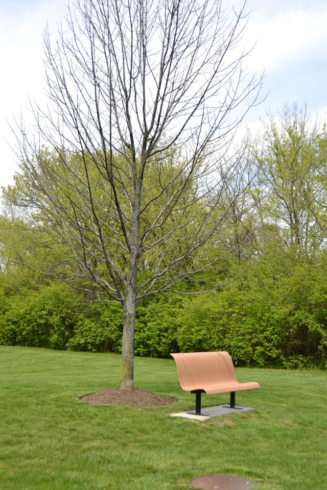 Brookside one HOA, Springboro, Ohio