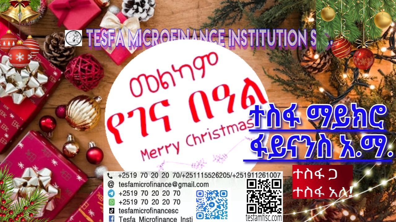 Tesfa Microfinance Institution S.C. | Addis Ababa