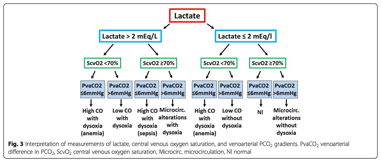 Medicina Critica - Evaluation and therapeutic approach of tissue ...