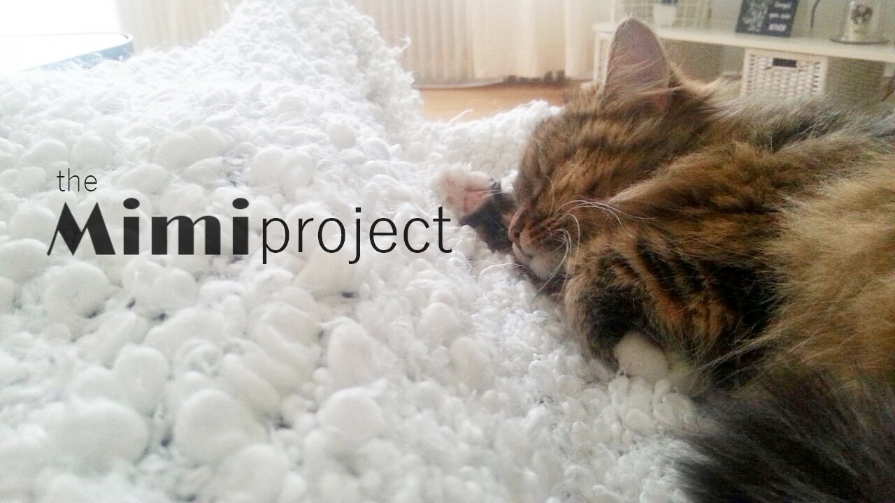 The Mimi Project