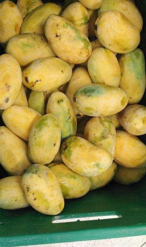 Aam Sultan | Multan