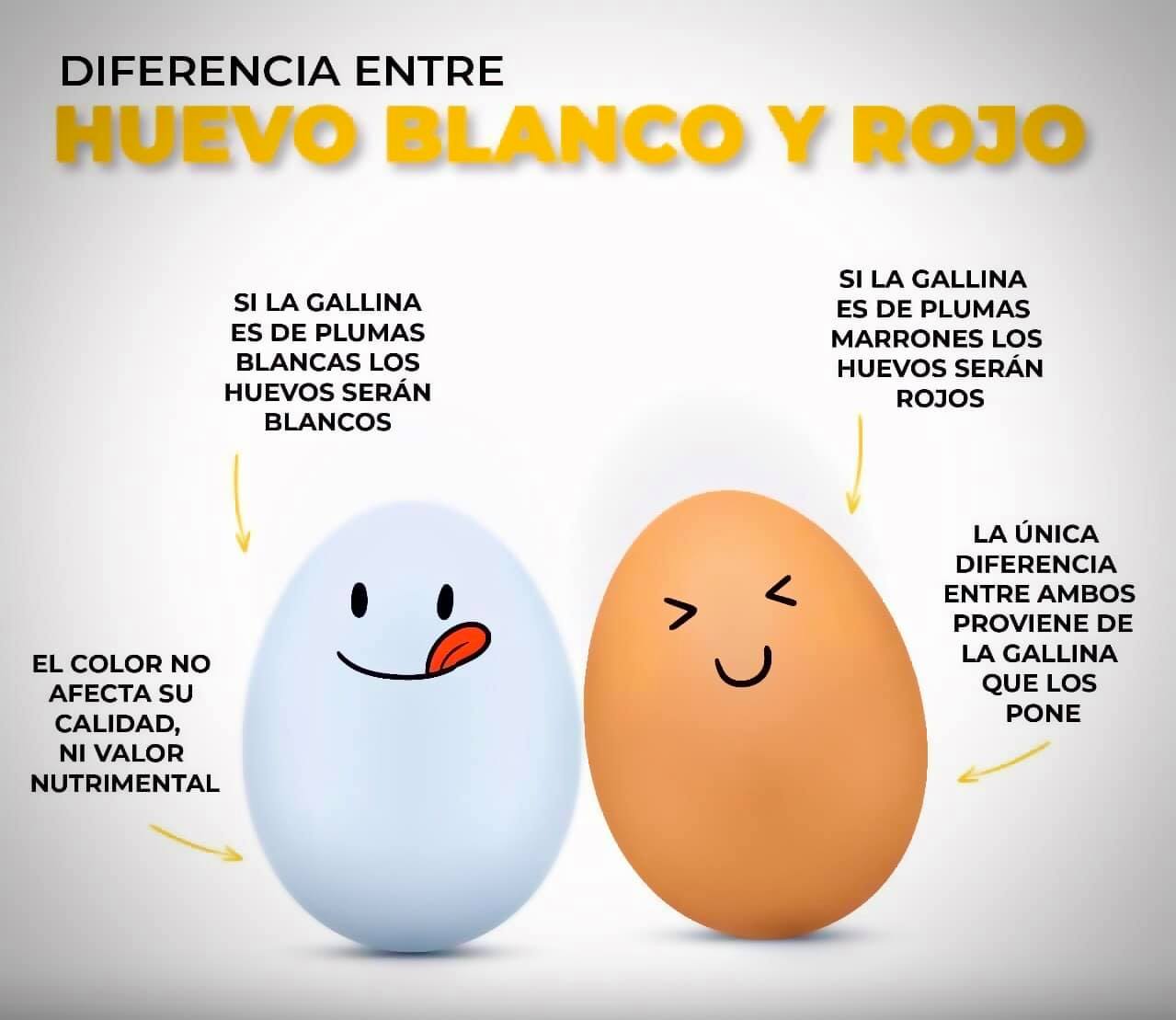 conacica-sab-as-qu-el-color-de-la-c-scara-del