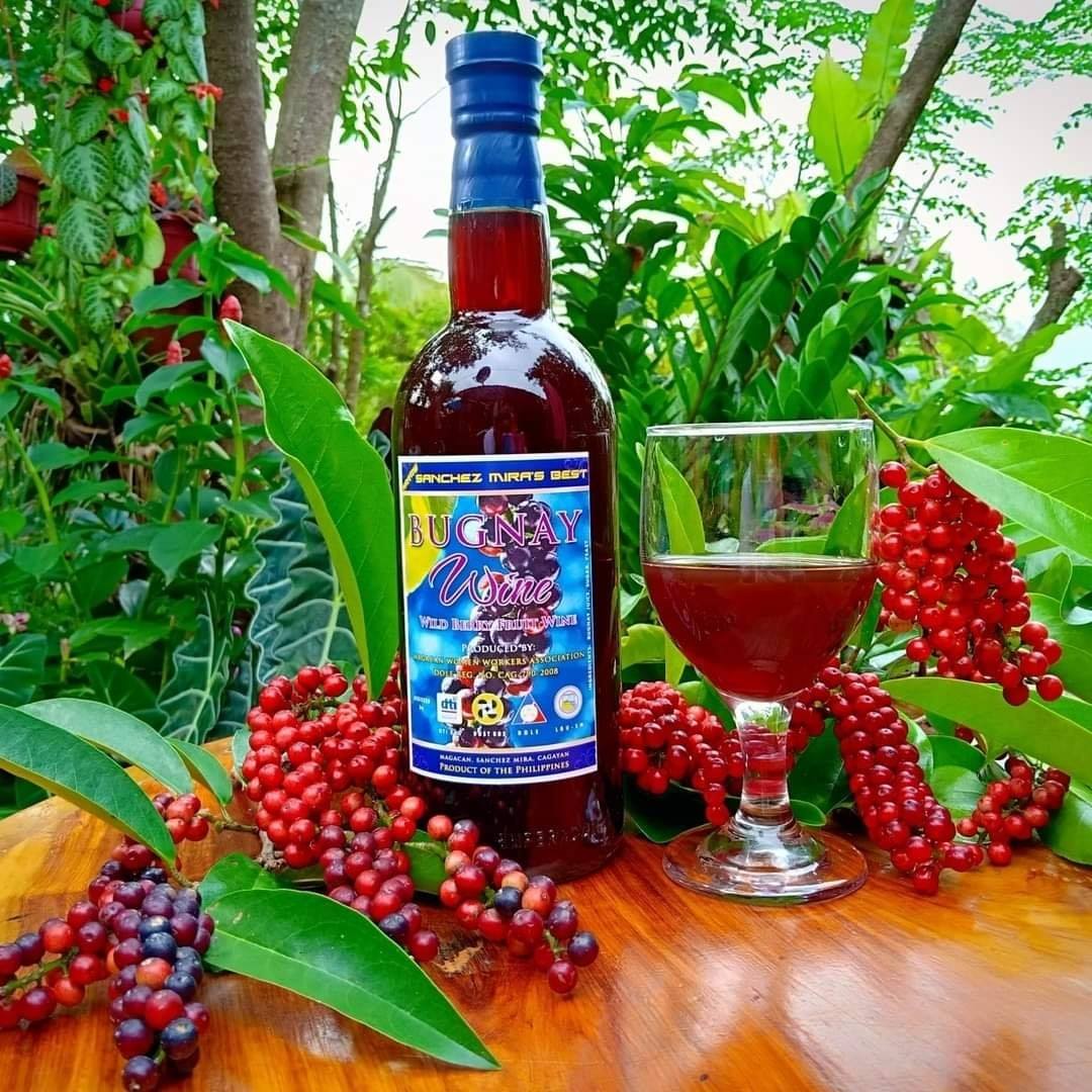 Kalamansi fruitwine on process mahabahabang pigaan ito kasi mano mano ...