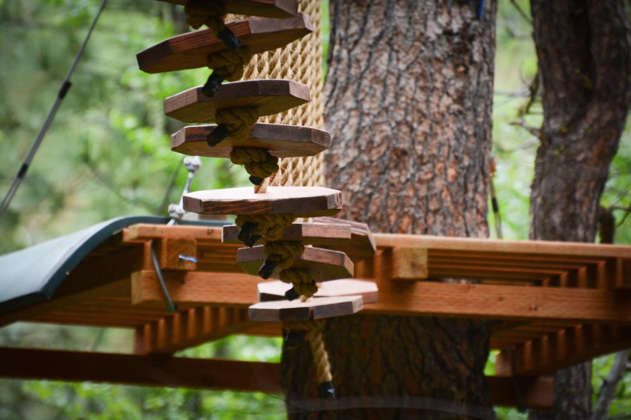 Cascade Rope Challenge and Zipline | Horseshoe Bend ID