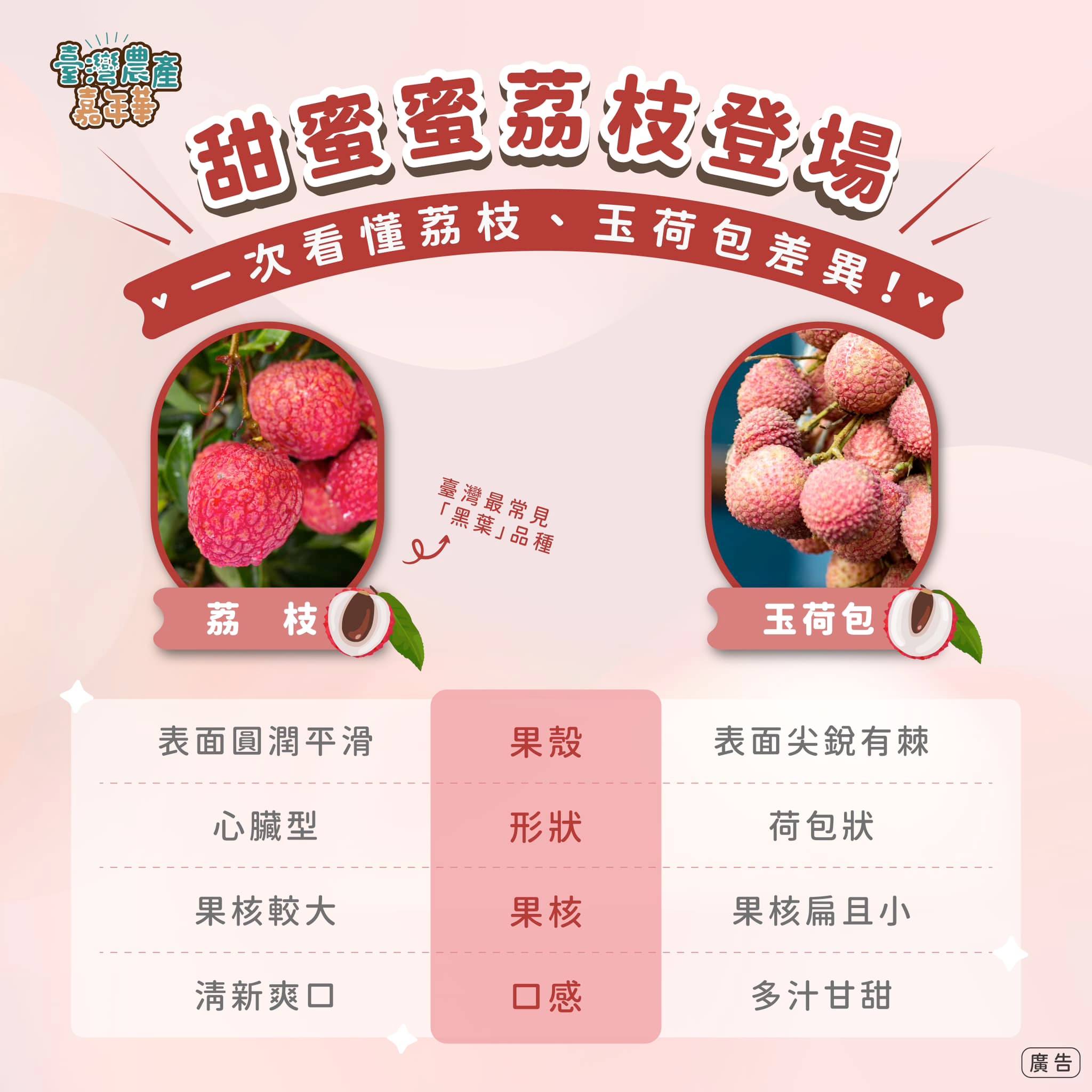 臺灣農產嘉年華 - 甜蜜蜜荔枝登場 ♡ 荔枝跟玉荷包是一樣的嗎 其實他們是不同品種，快來看看它們的差異吧！🔍... | Facebook