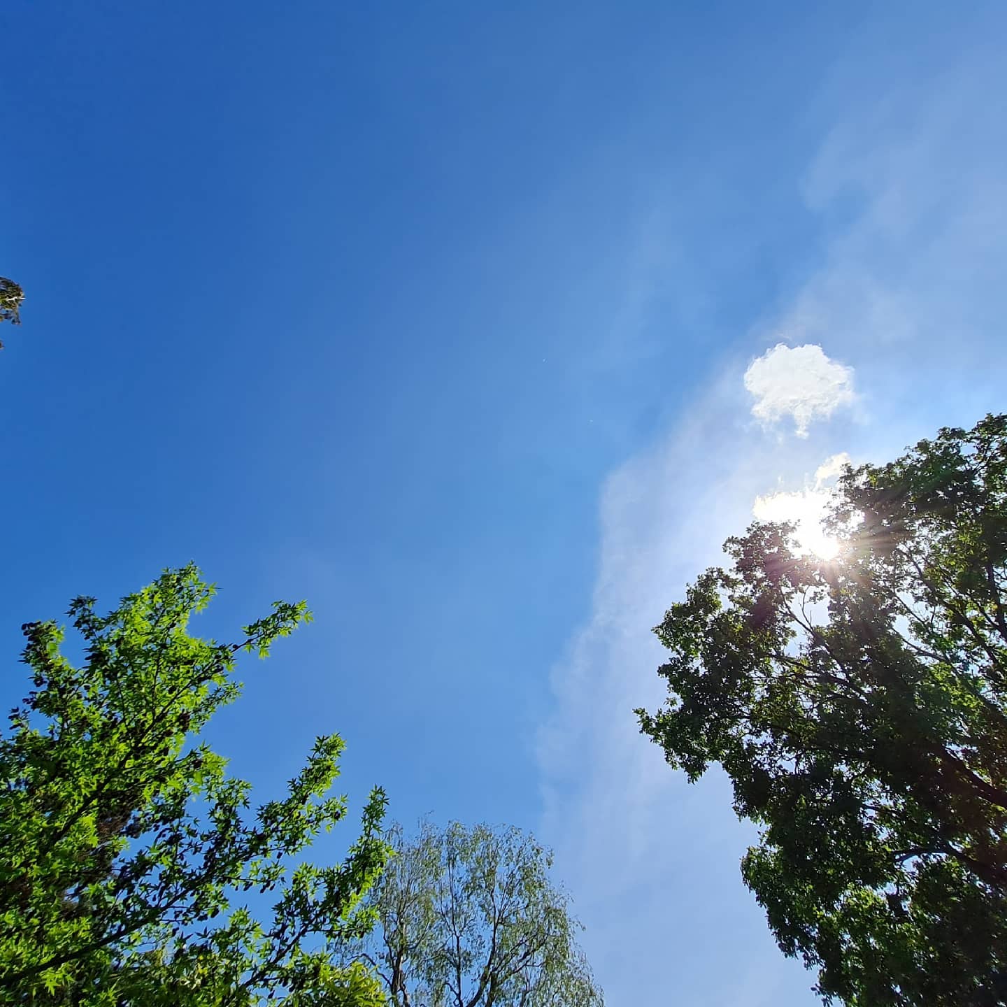 Lotus Wellbeing Clinic - Beautiful blue sky!! What a wonderful bank
