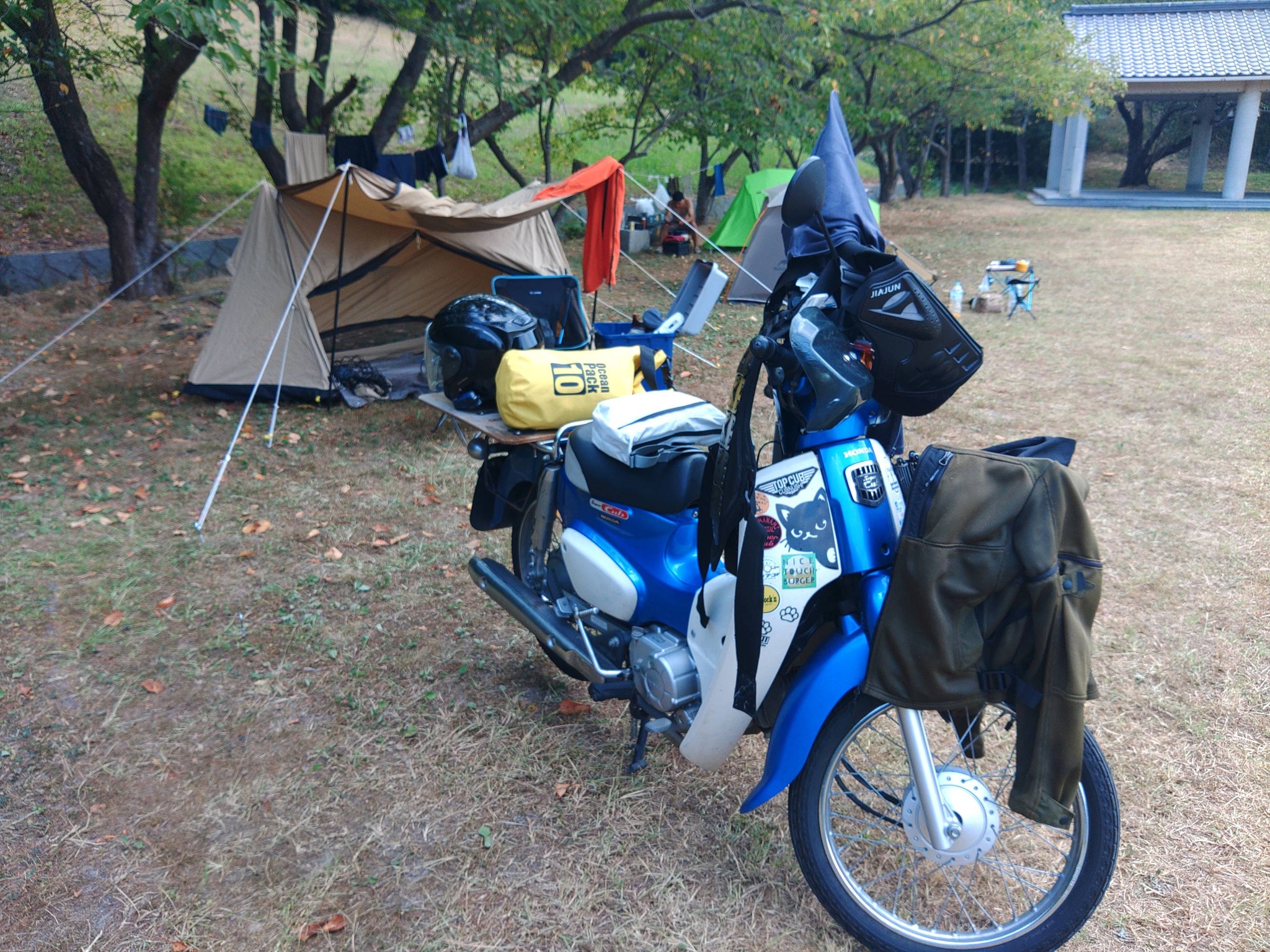 カブを組み立てる。外伝m(_ _)m