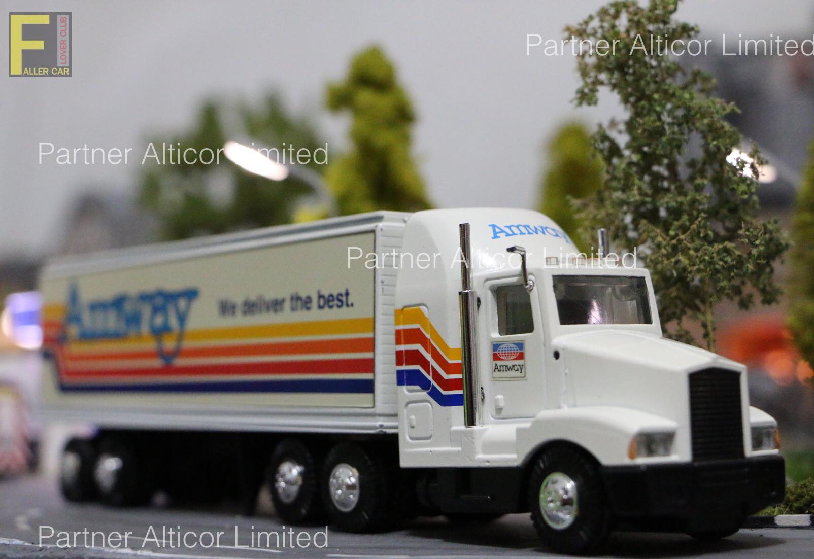 Partner Alticor Limited