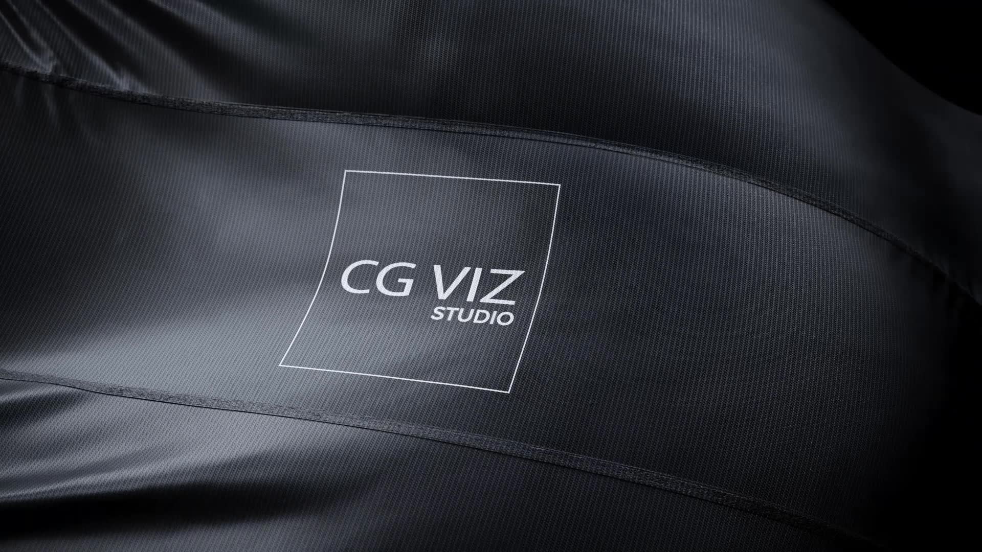 CG VIZ