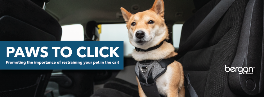 Paws to Click