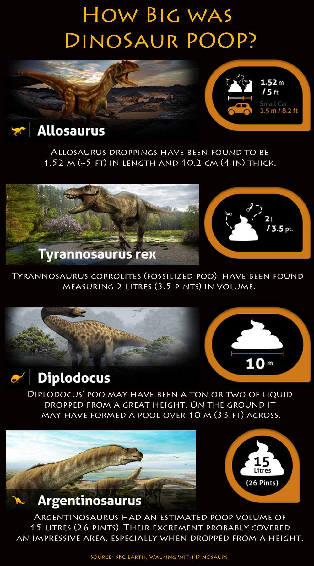 Y los desechos organicos (la popo) de... - Dino Museo Raptor | Facebook