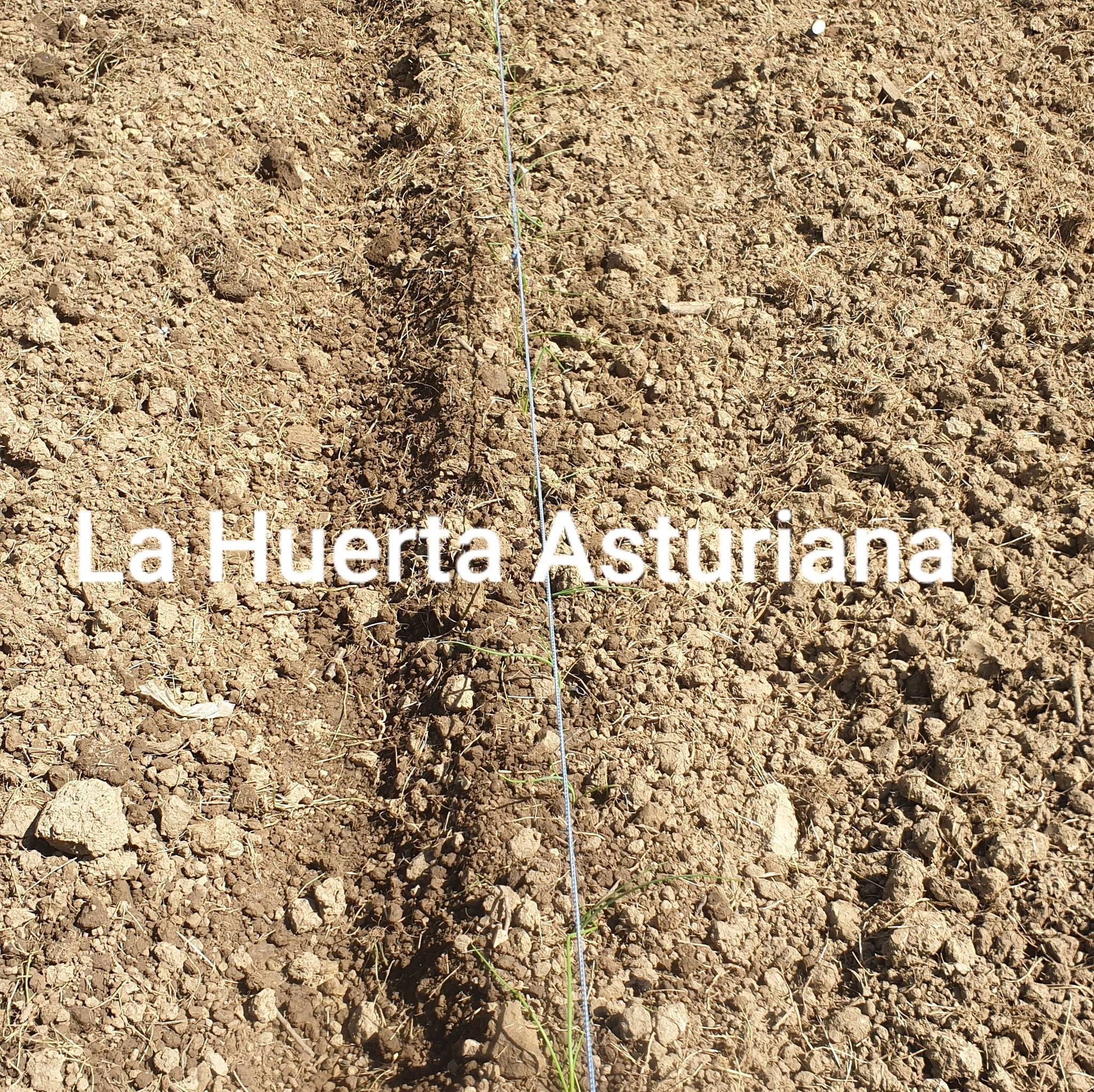 La Huerta Asturiana