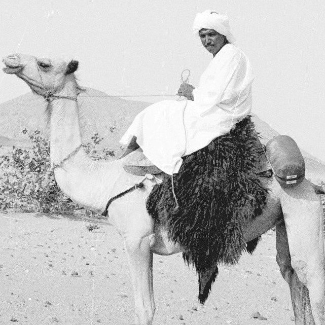 Abdelrahim M Salih
