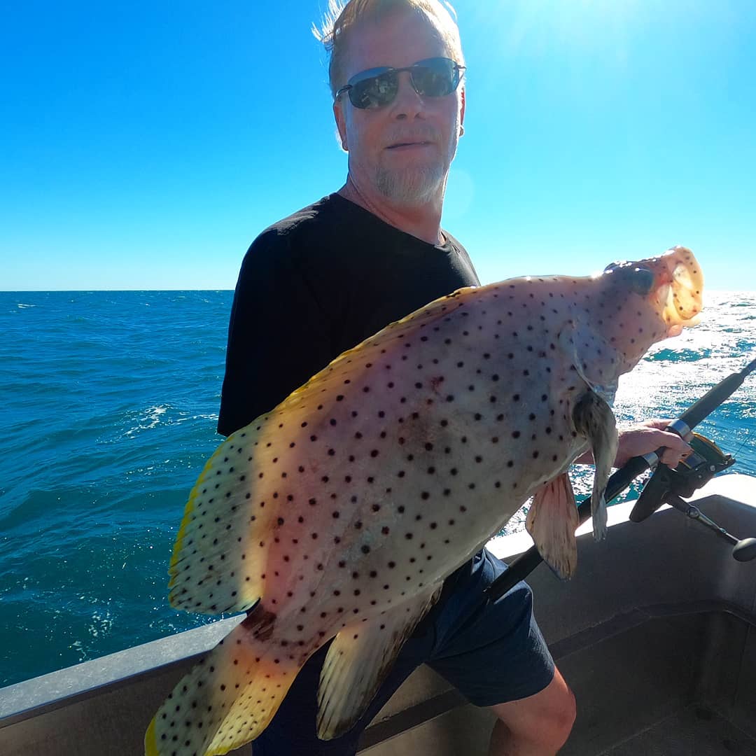 A fairly rare catch!... - Absolute Ocean Charters | Facebook