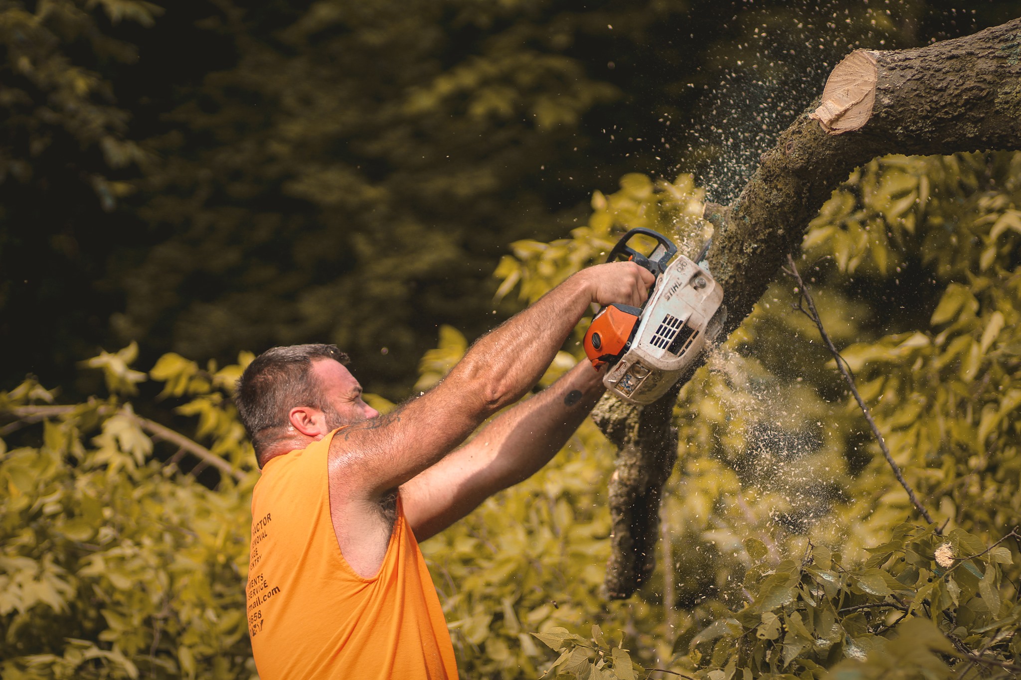 Clark Construction and Tree Service