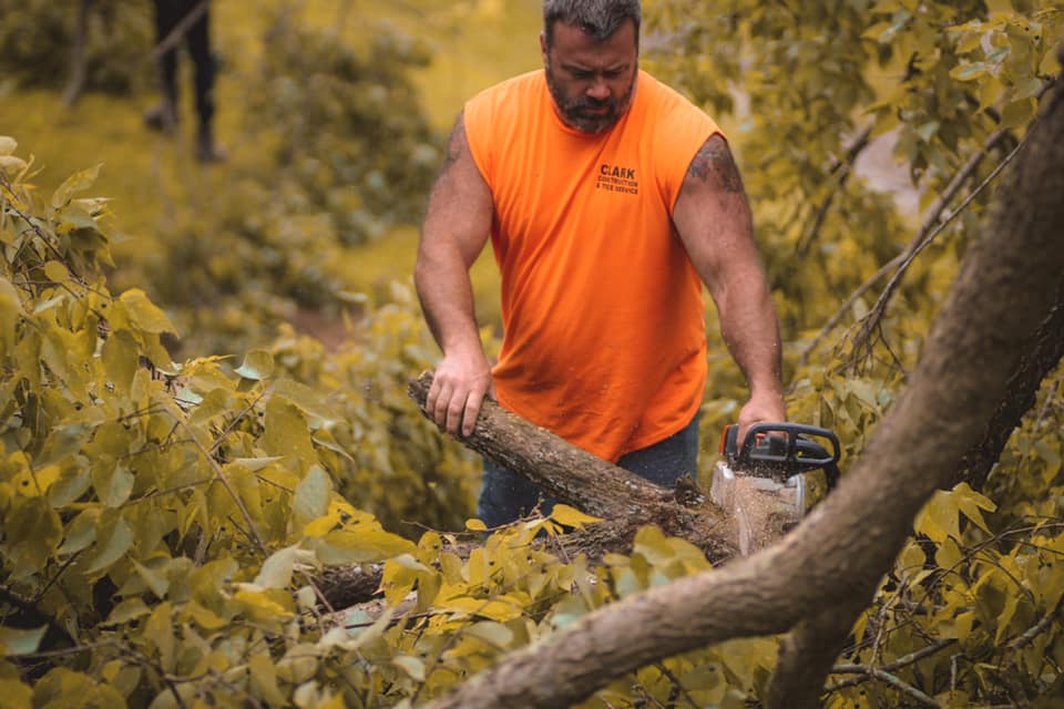 Clark Construction and Tree Service