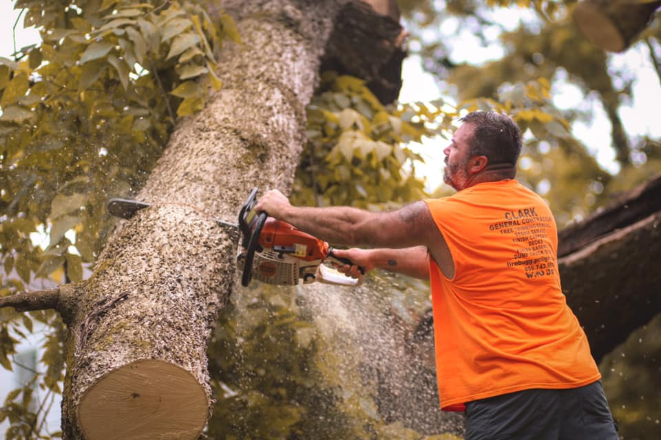 Clark Construction and Tree Service