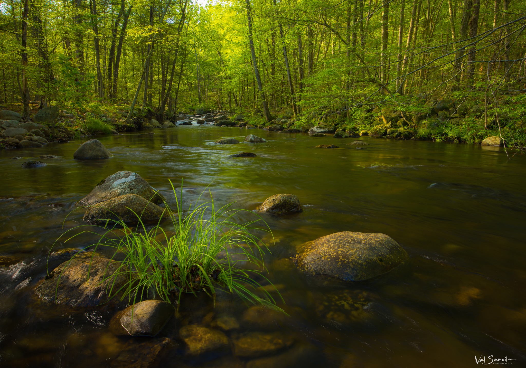 Study nature, love nature, stay close to nature. It will never