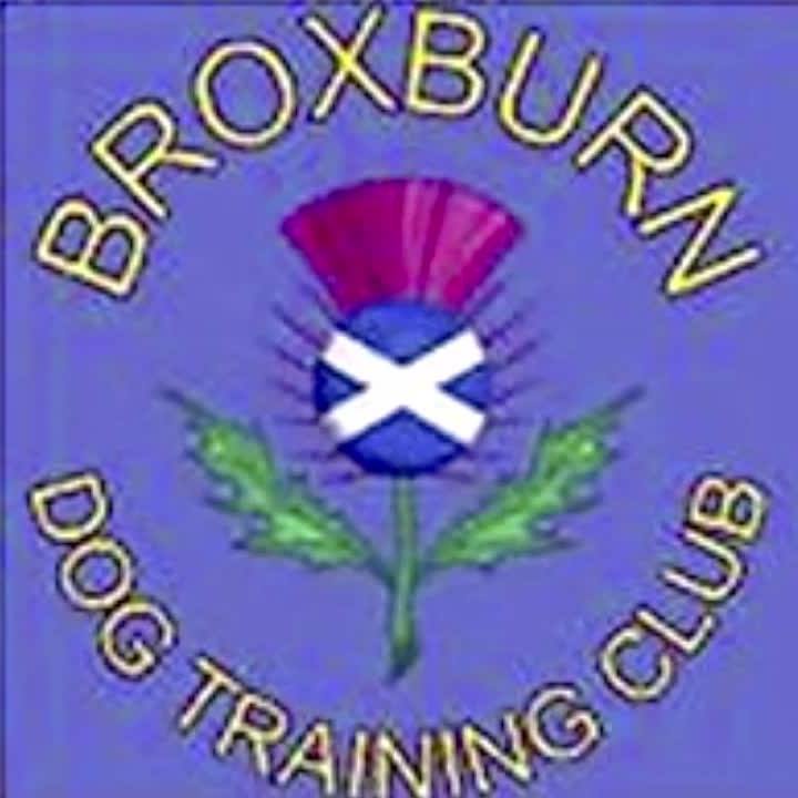 hi-all-our-next-intake-for-training-classes-for-both-puppies-and