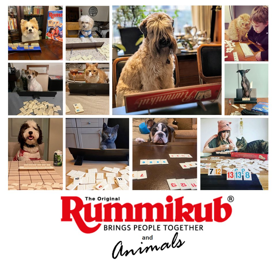 Rummikub - Special THANKS to our Furry Friends. Even when...